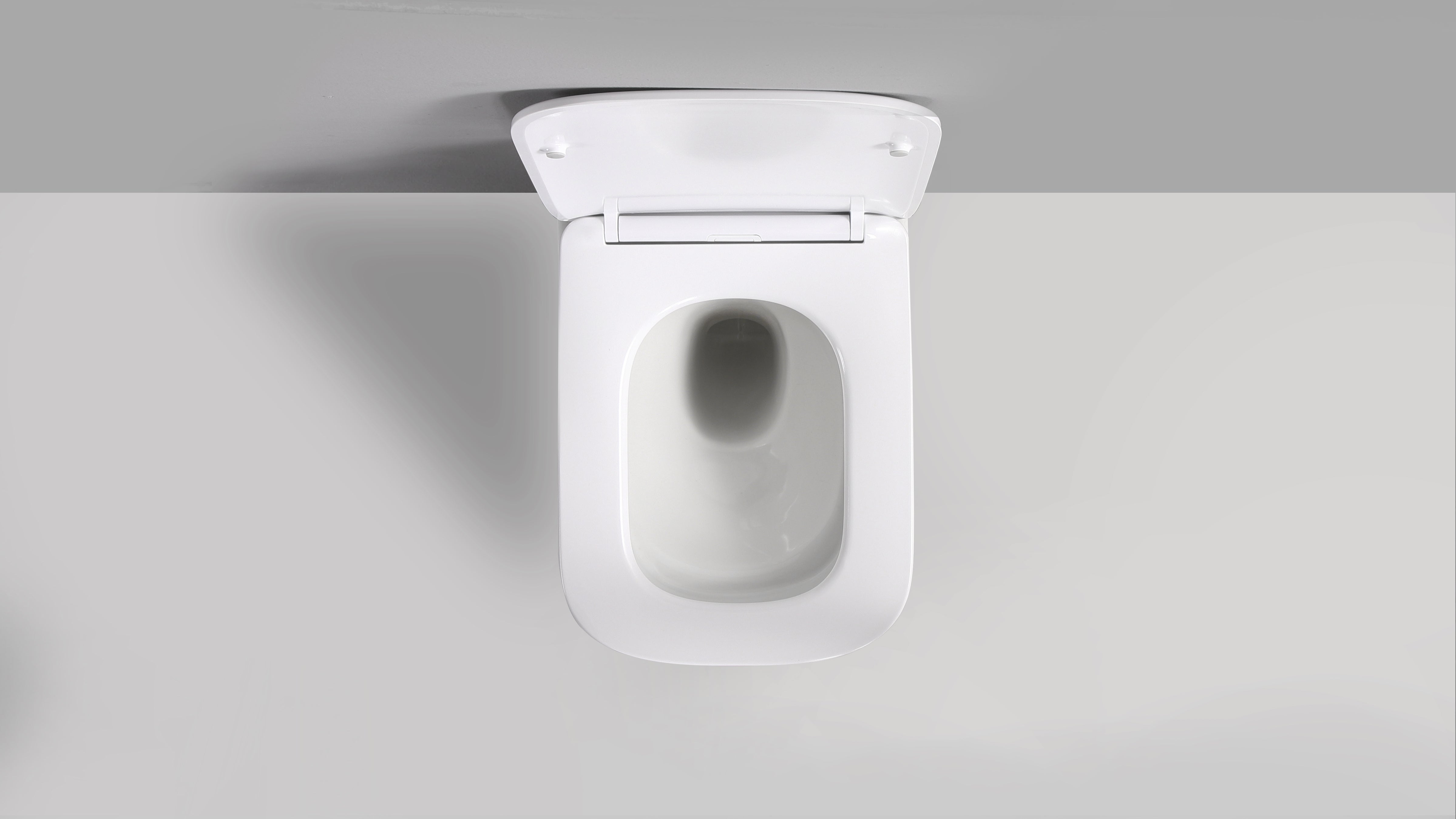 RICO WALL HUNG TOILET PAN & SEAT
